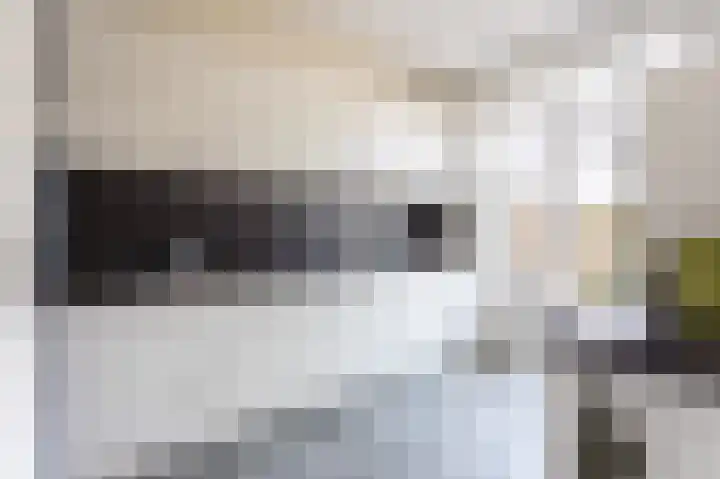 Kooikersweg 362 's-Hertogenbosch thumbnail 8
