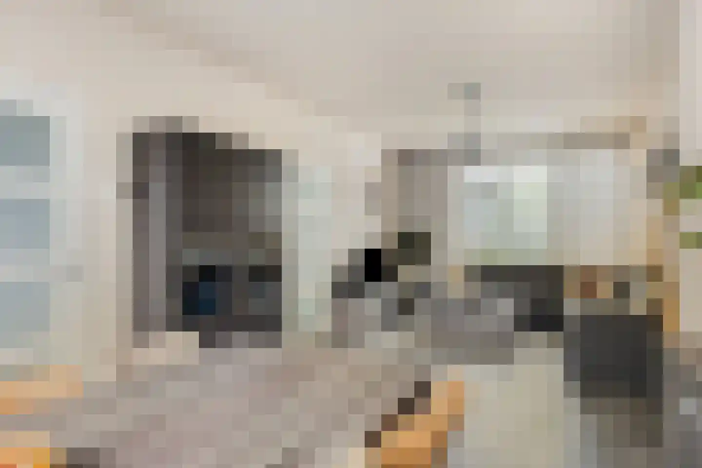 Kooikersweg 378 's-Hertogenbosch thumbnail 10