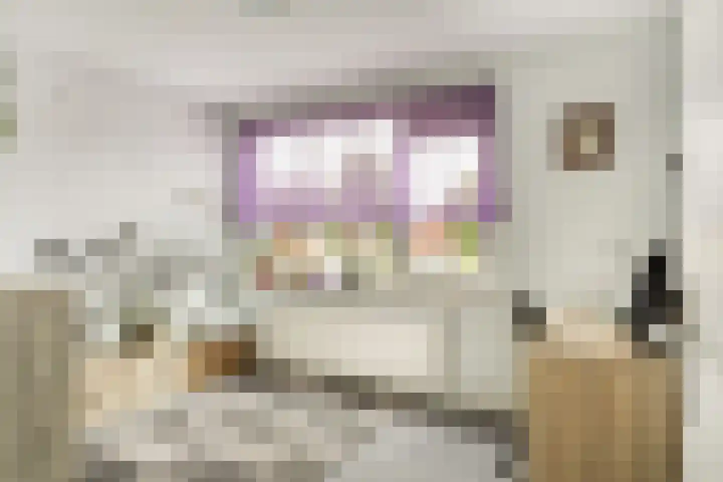 Kooikersweg 378 's-Hertogenbosch thumbnail 19