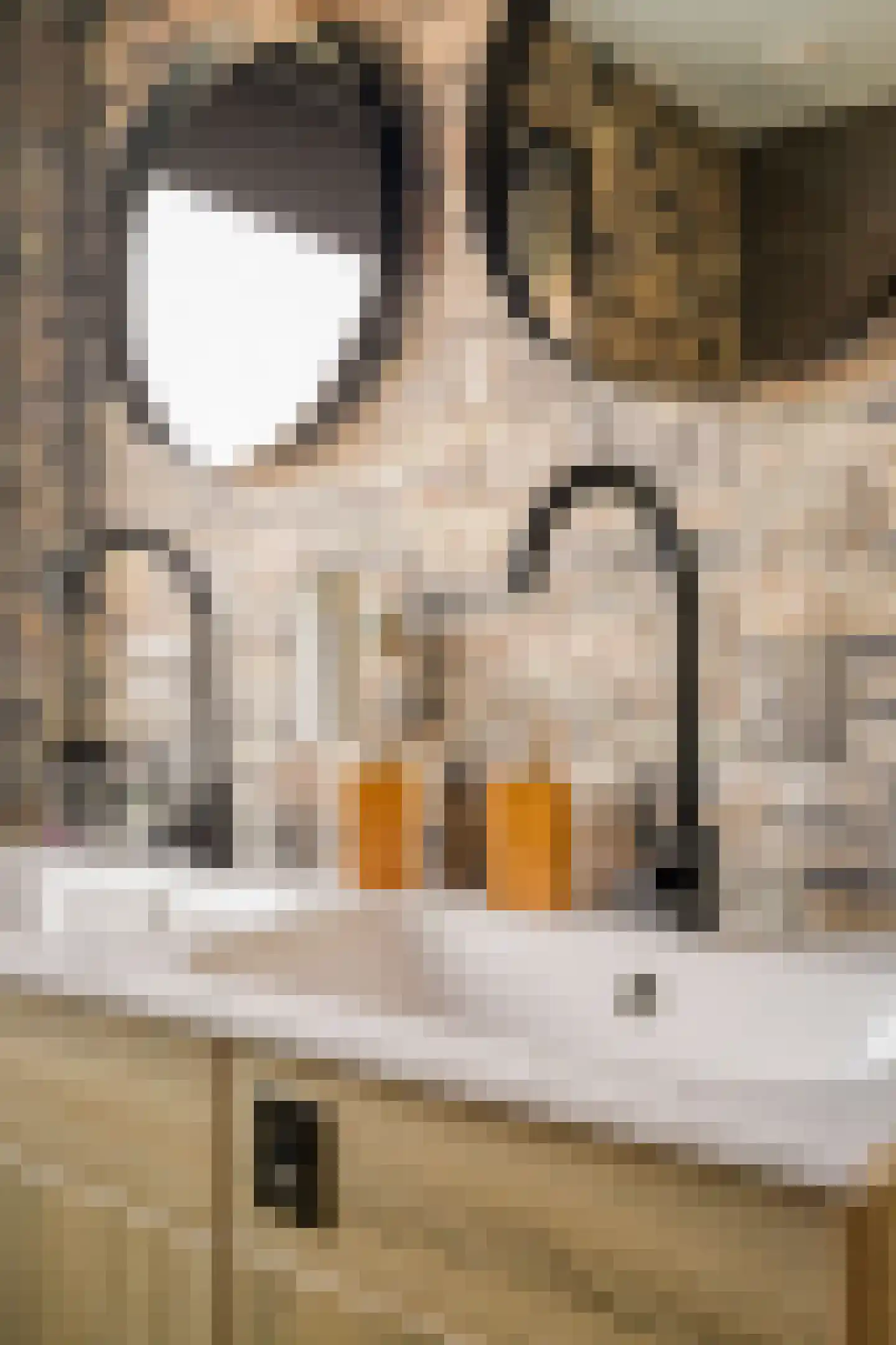 Kooikersweg 382 's-Hertogenbosch thumbnail 18
