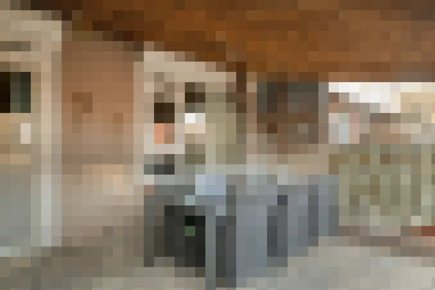 Kooikersweg 382 's-Hertogenbosch thumbnail 29