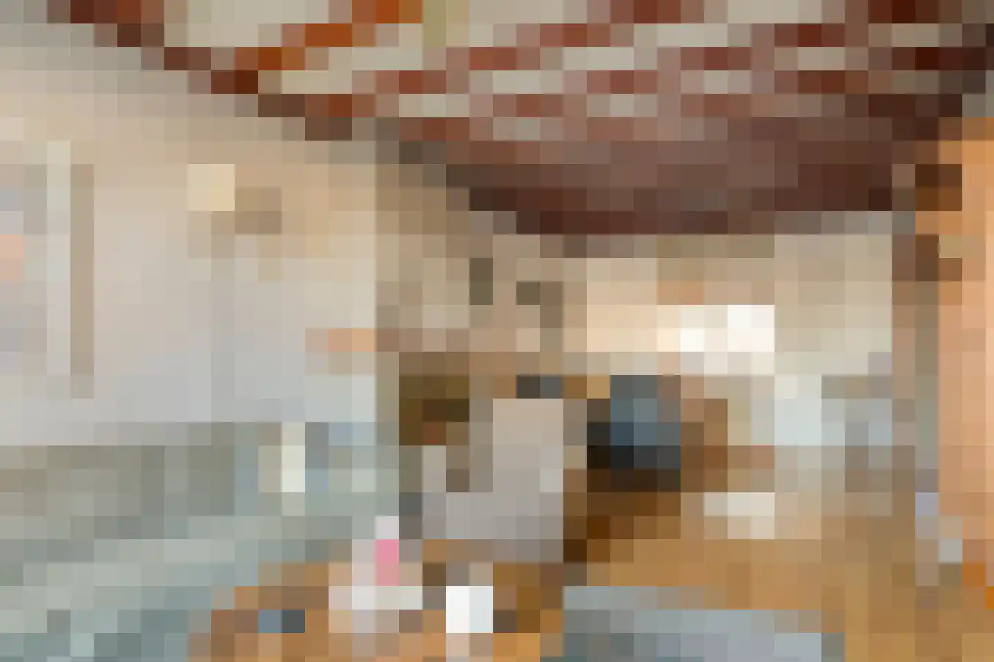 Kooikersweg 382 's-Hertogenbosch thumbnail 8