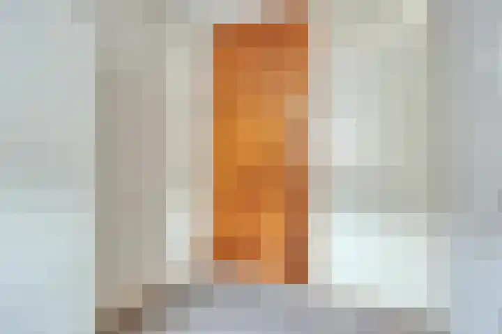 Kooikersweg 398 's-Hertogenbosch thumbnail 13