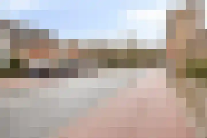 Kooikersweg 398 's-Hertogenbosch thumbnail 29