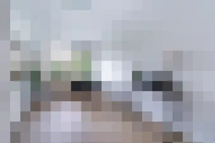 Kooikersweide 12 Nieuwegein thumbnail 10