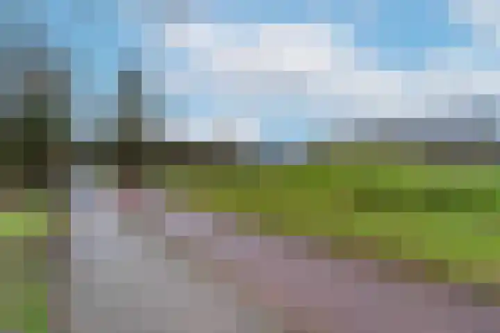 Kooikersweide 12 Nieuwegein thumbnail 39