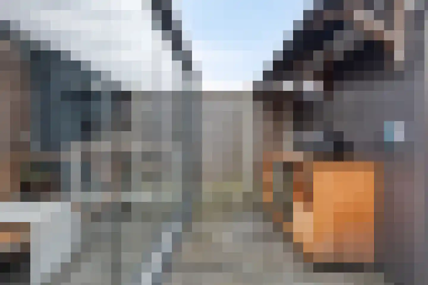 Kooilaan 18 Leiden thumbnail 18
