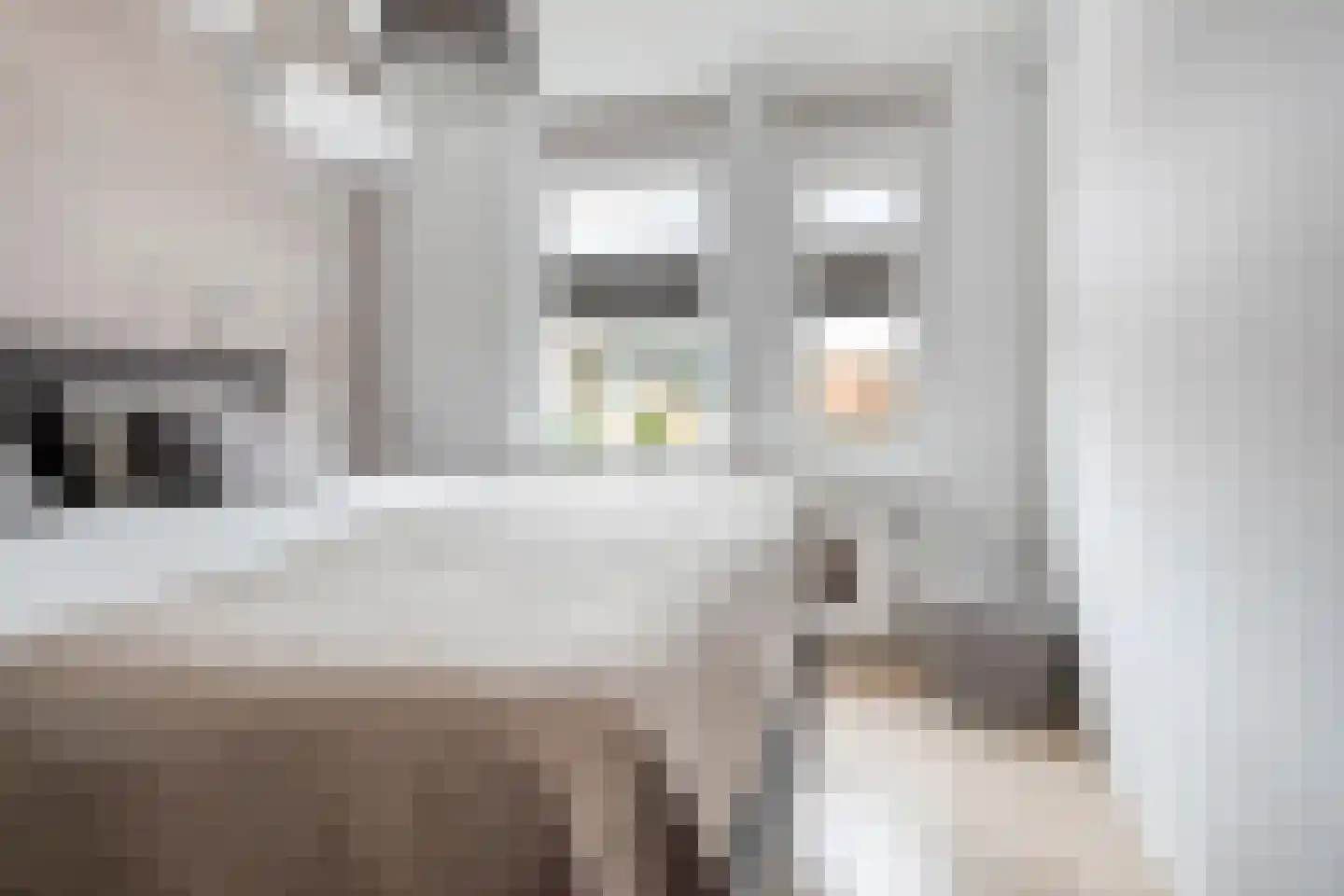 Kooilaan 18 Leiden thumbnail 20