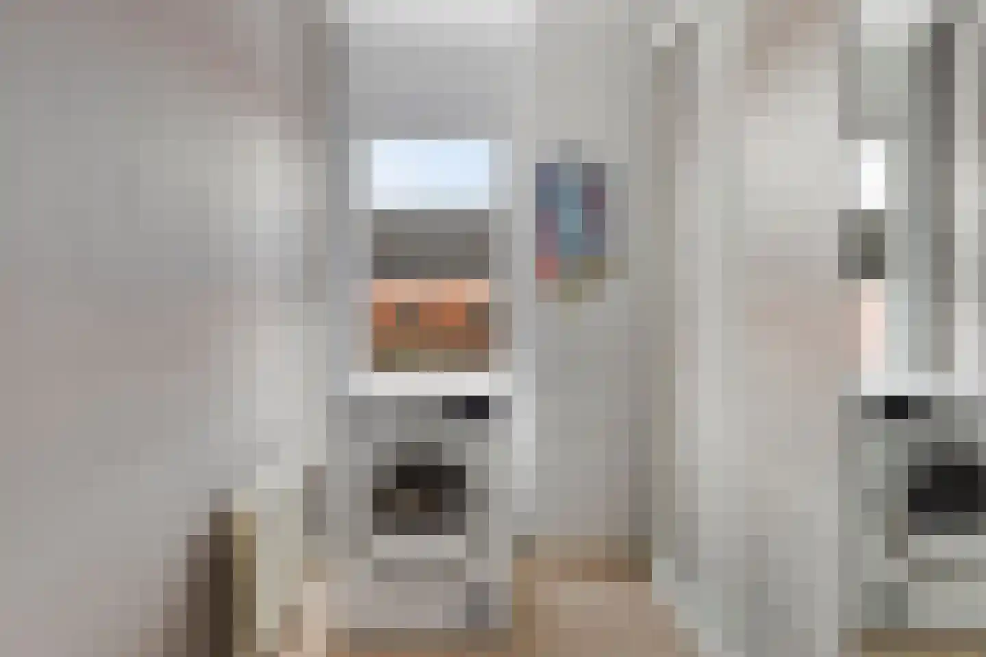 Kooilaan 18 Leiden thumbnail 26