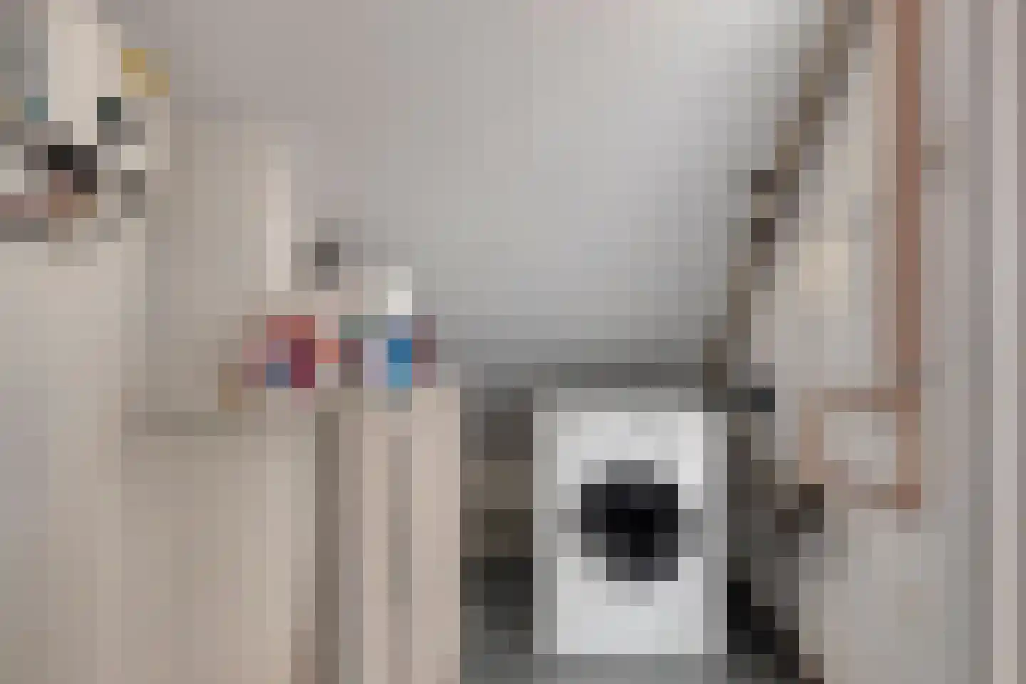 Kooilaan 18 Leiden thumbnail 30
