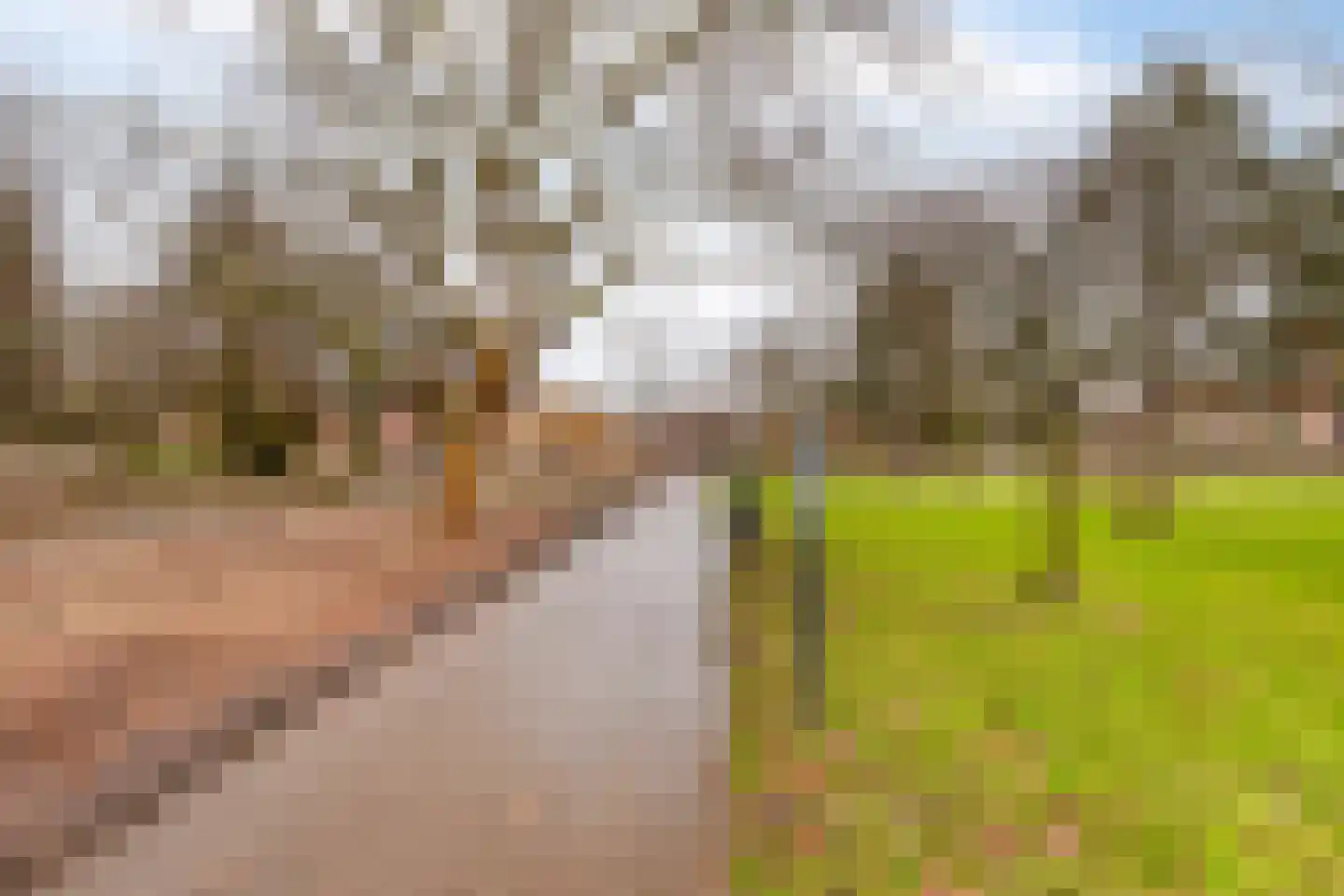 Kooilaan 18 Leiden thumbnail 32