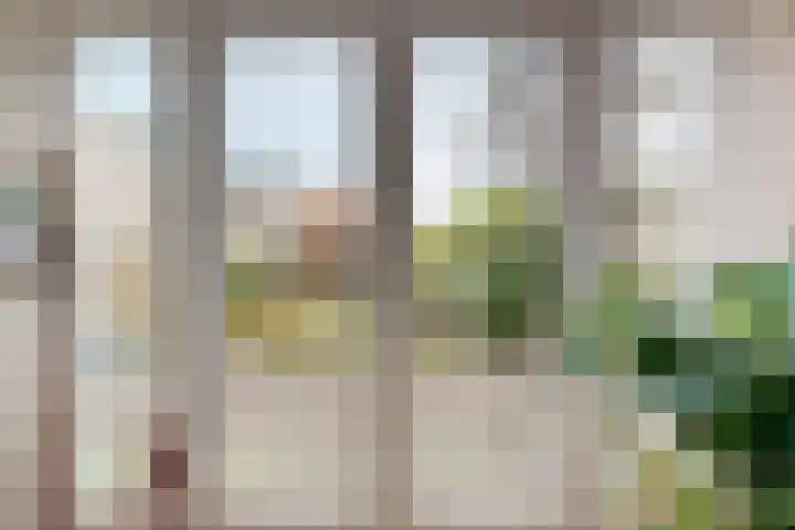 Kooiland 5 Leidschendam thumbnail 4
