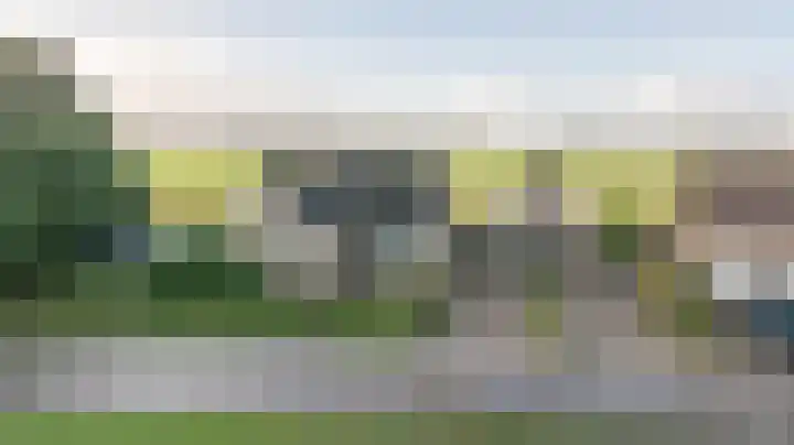 Kooilandsedijk 10 Strijen