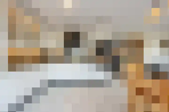 Kooilandsedijk 10 Strijen thumbnail 24