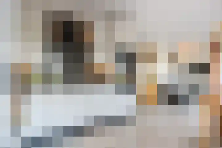 Kooilandsedijk 10 Strijen thumbnail 25