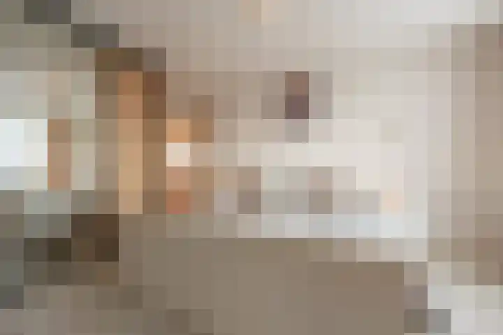 Kooilandsedijk 10 Strijen thumbnail 29