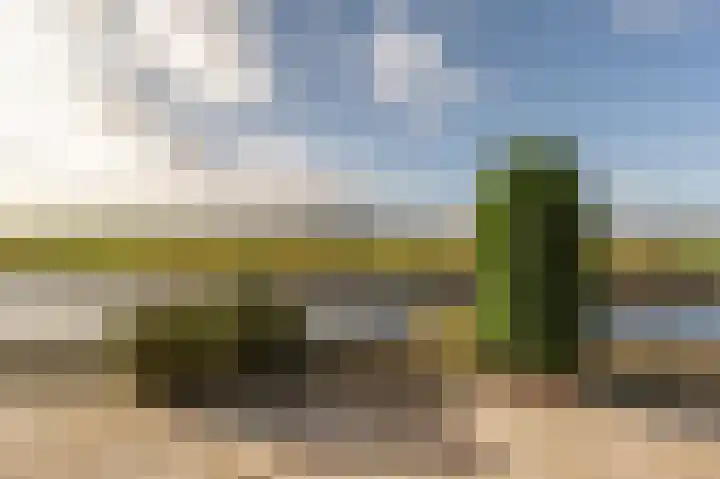 Kooilandsedijk 10 Strijen foto 3