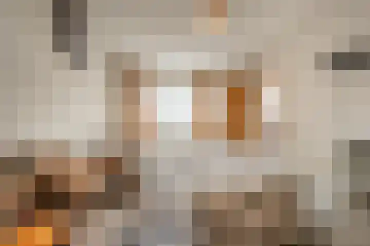 Kooilandsedijk 10 Strijen thumbnail 31