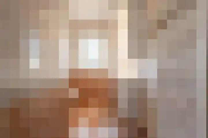 Kooilandsedijk 10 Strijen thumbnail 32
