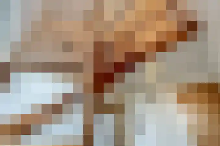 Kooilandsedijk 10 Strijen thumbnail 35