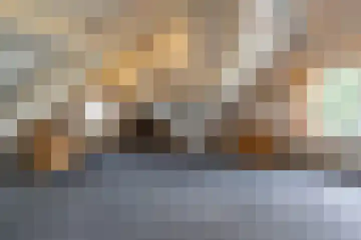 Kooilandsedijk 10 Strijen thumbnail 36