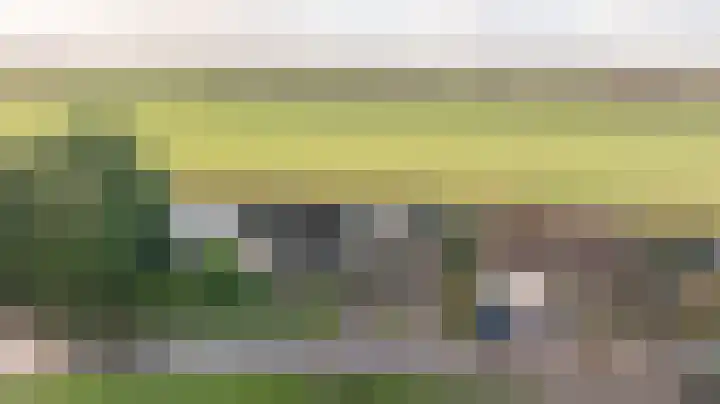 Kooilandsedijk 10 Strijen thumbnail 4
