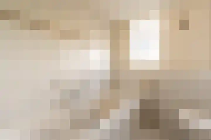 Kooilandsedijk 10 Strijen thumbnail 46