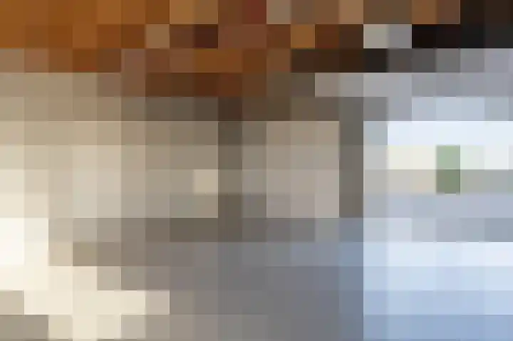 Kooilandsedijk 10 Strijen thumbnail 56
