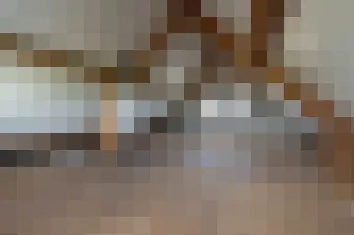 Kooilandsedijk 10 Strijen thumbnail 58