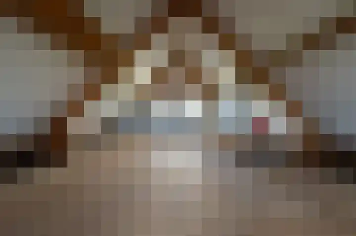 Kooilandsedijk 10 Strijen thumbnail 59