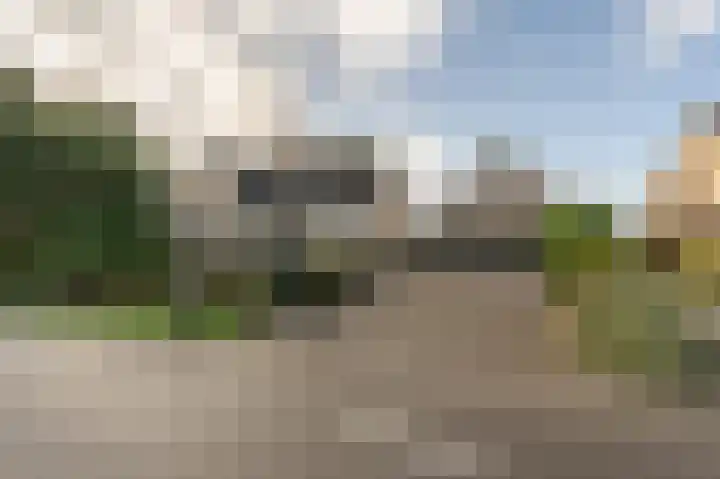 Kooilandsedijk 10 Strijen thumbnail 61