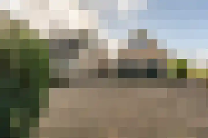 Kooilandsedijk 10 Strijen thumbnail 62