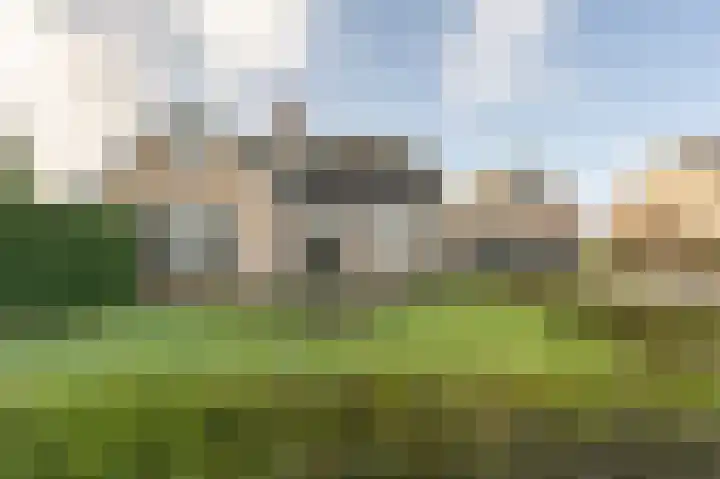 Kooilandsedijk 10 Strijen thumbnail 63