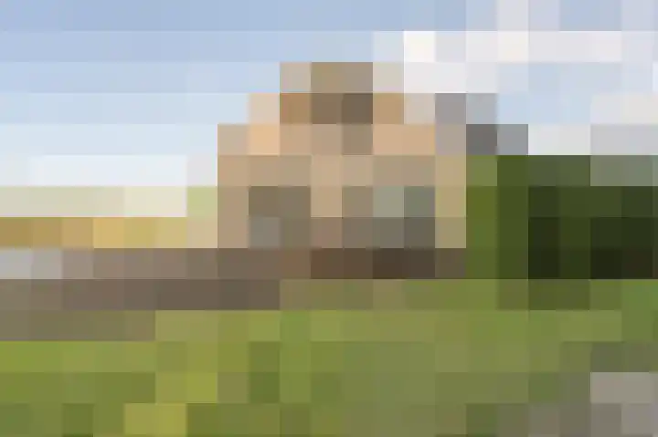 Kooilandsedijk 10 Strijen thumbnail 64