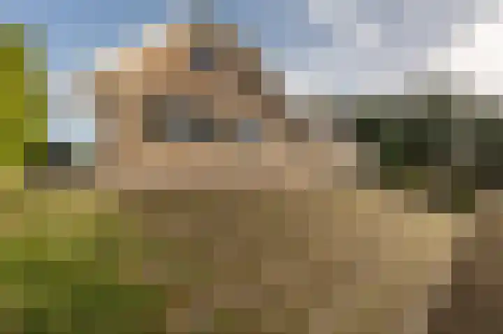 Kooilandsedijk 10 Strijen thumbnail 65