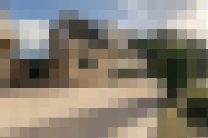 Kooilandsedijk 10 Strijen thumbnail 66