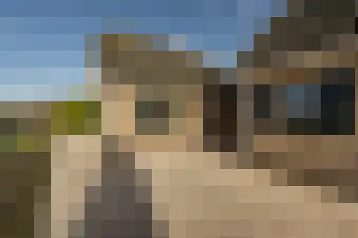Kooilandsedijk 10 Strijen thumbnail 67