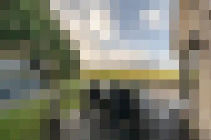 Kooilandsedijk 10 Strijen thumbnail 68