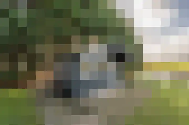 Kooilandsedijk 10 Strijen thumbnail 69