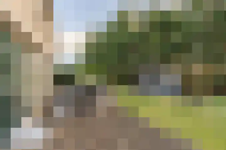 Kooilandsedijk 10 Strijen thumbnail 70