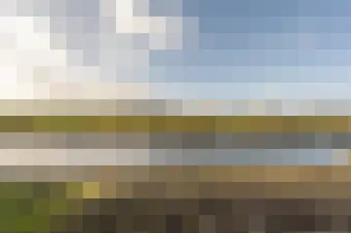 Kooilandsedijk 10 Strijen thumbnail 71