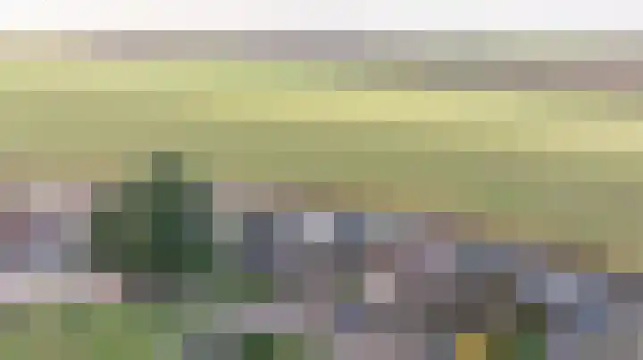 Kooilandsedijk 10 Strijen thumbnail 73
