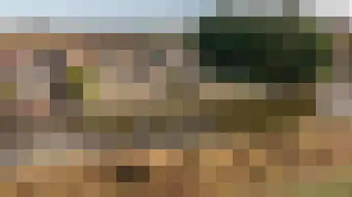 Kooilandsedijk 10 Strijen thumbnail 74