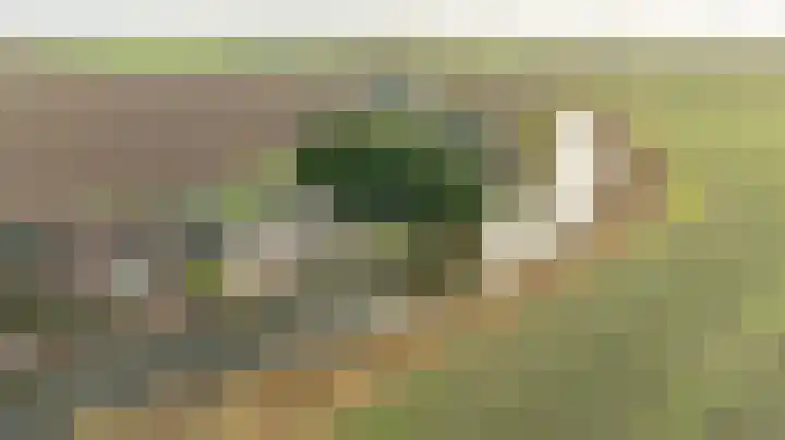 Kooilandsedijk 10 Strijen thumbnail 75