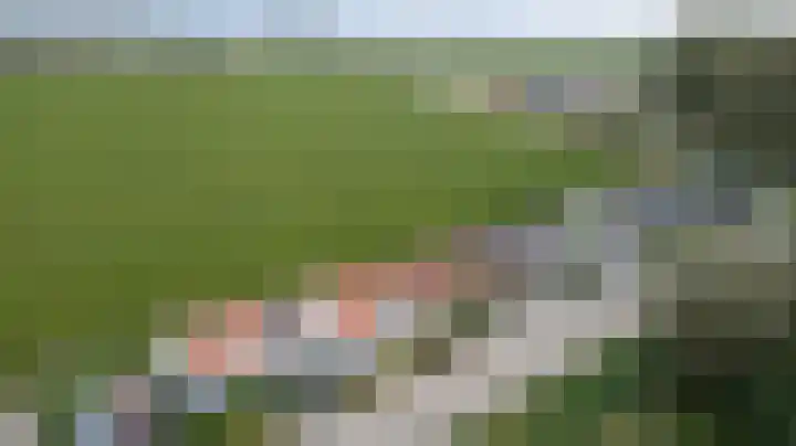 Kooilandsedijk 19 Strijen thumbnail 10