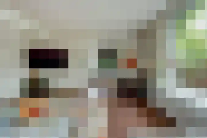 Kooilandsedijk 19 Strijen thumbnail 13