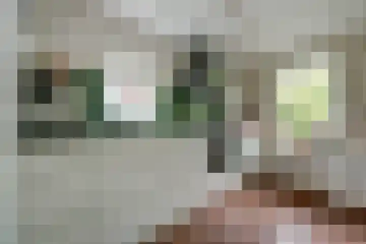 Kooilandsedijk 19 Strijen thumbnail 14