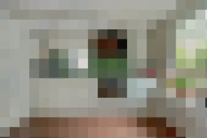 Kooilandsedijk 19 Strijen thumbnail 15