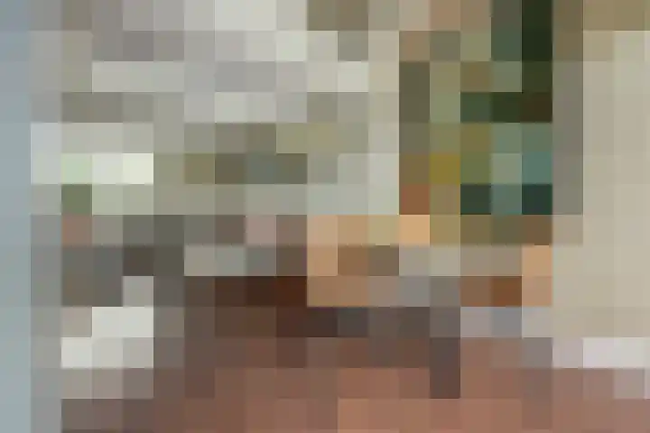Kooilandsedijk 19 Strijen thumbnail 16