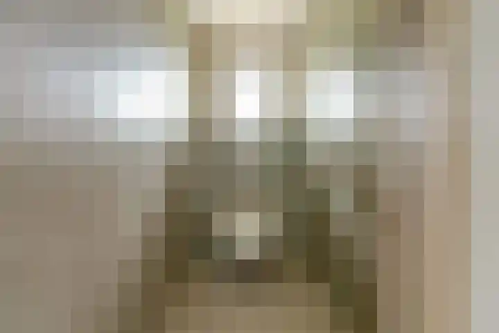Kooilandsedijk 19 Strijen thumbnail 18